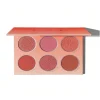 SHEGLAM FLORAL FLUSH BLUSH PALETTE